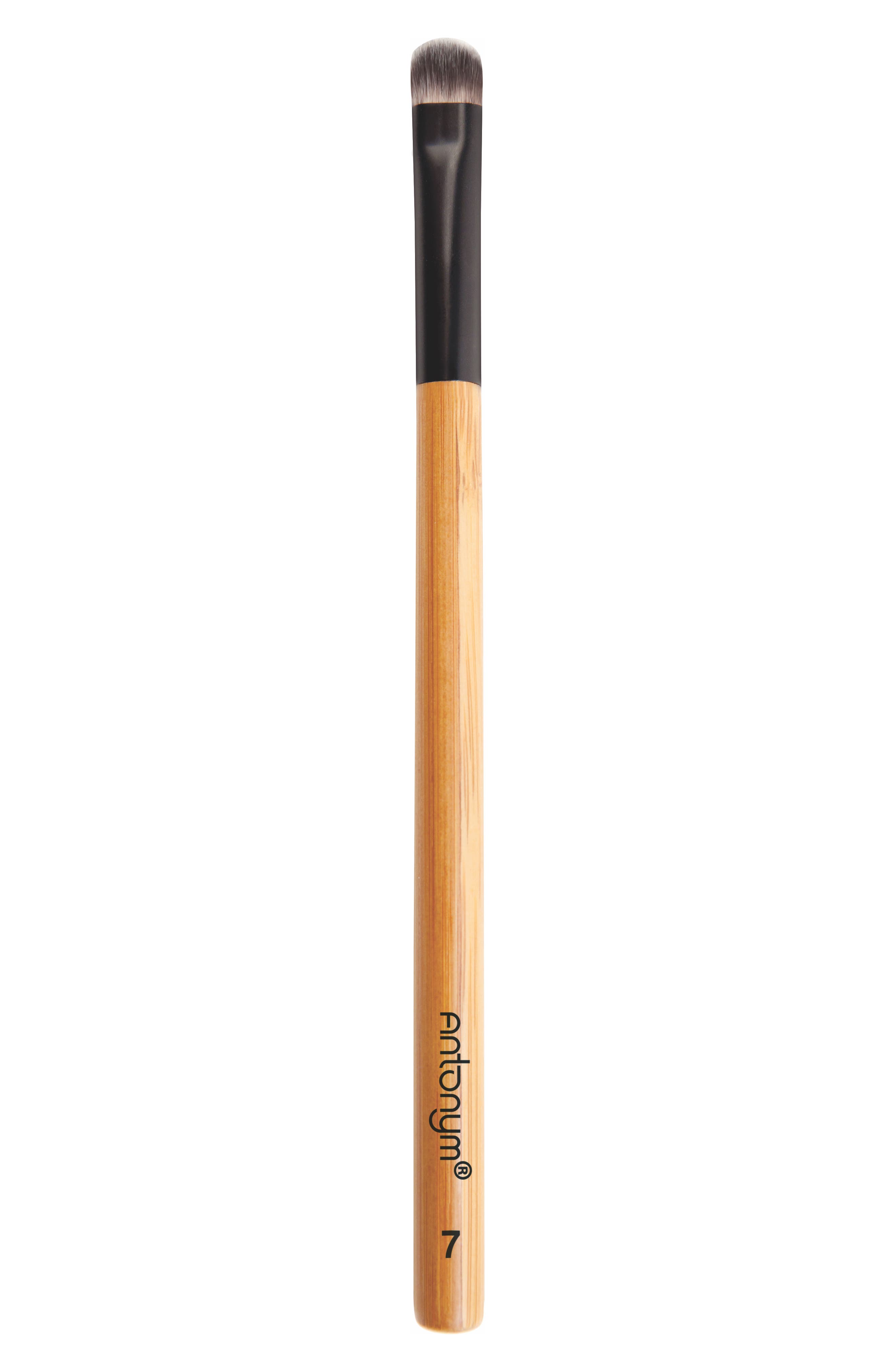 Antonym Medium Angled Brush Nordstrom