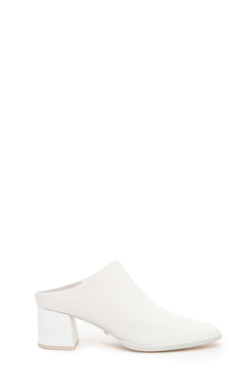 Daniella Shevel Jolene Mule In White