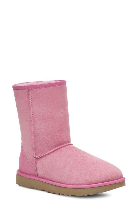 Ugg Classic Ii Genuine Shearling Lined Short Boot In Wild Berry Suede