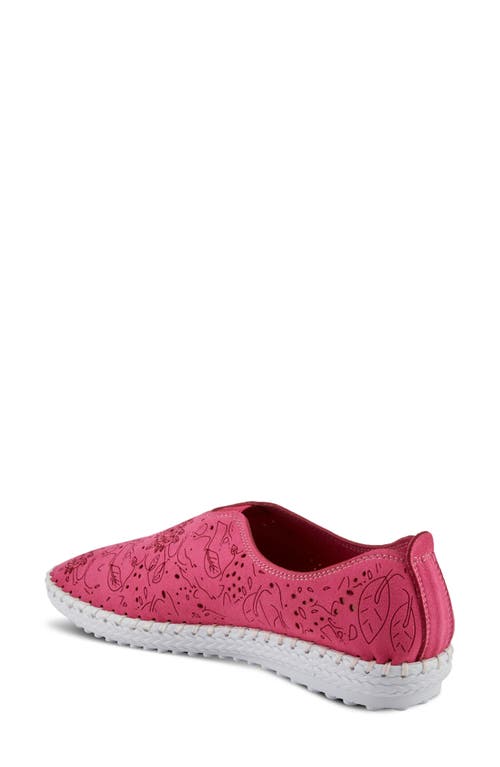 Flexus By Spring Step Jumilia Slip-on Sneaker In Pink