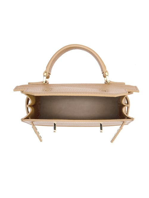 Teddy Blake Kim Stampato 9" In Tan