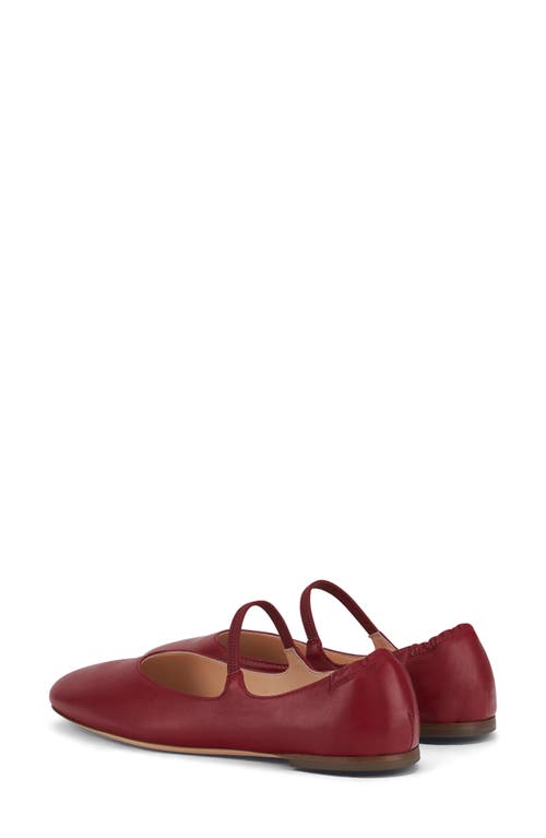 Shop Agl Attilio Giusti Leombruni Agl Iris Mary Jane Flat In Tomato