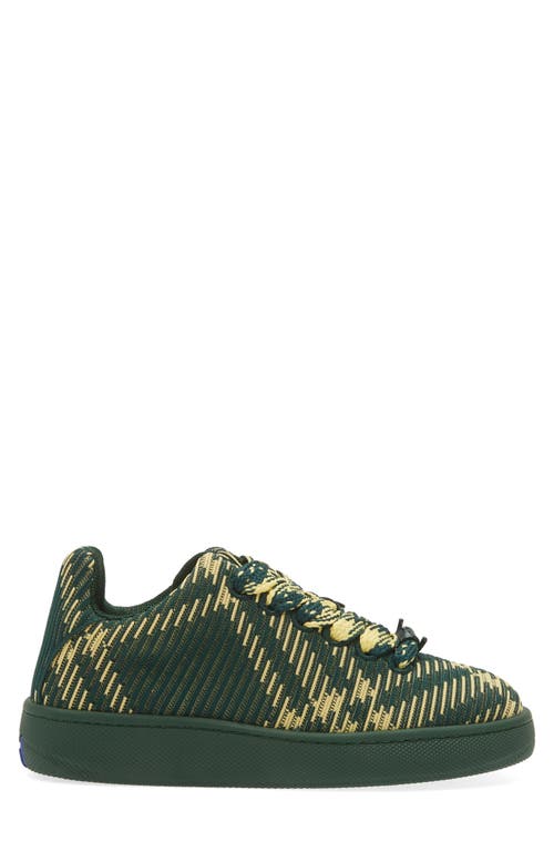 burberry Check Knit Box Sneaker Primrose Ip at Nordstrom,