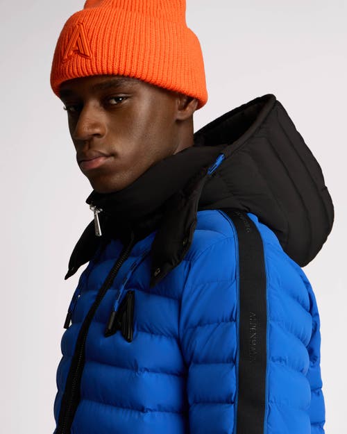 Shop Alpenhaus Uriage Lightweight Bomber Puffer With Removable Hood In Cobalt