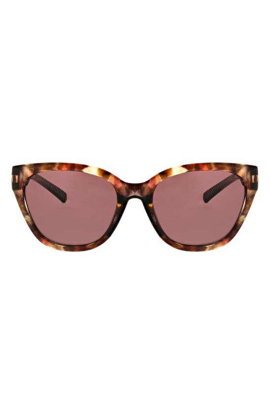 Hurley 55mm Cat Eye Sunglasses In Lilac Demi