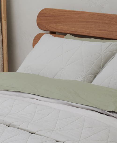 Pact Organic Diamond Sham 2-pack In Lunar