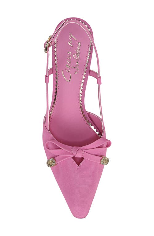 Circus Ny By Sam Edelman Monica Pointed Toe Slingback Pump In Pink Confetti