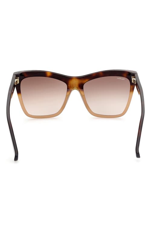 Shop Max Mara 55mm Geometric Sunglasses In Havana/other/gradient Brown