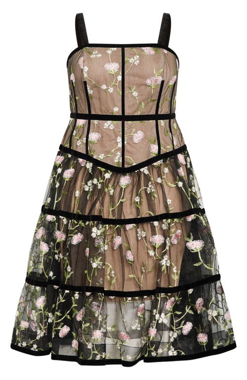 Shop City Chic Splendour Floral Embroidery A-line Dress