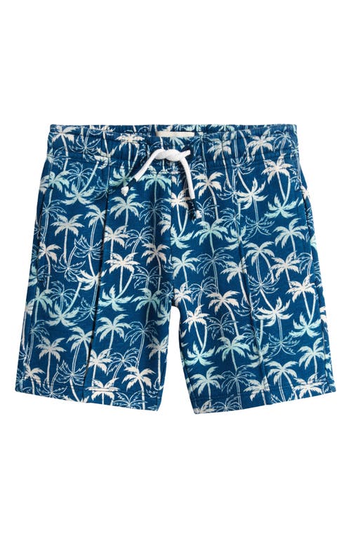 Tucker + Tate Kids' Pull-on Cotton Shorts In Blue