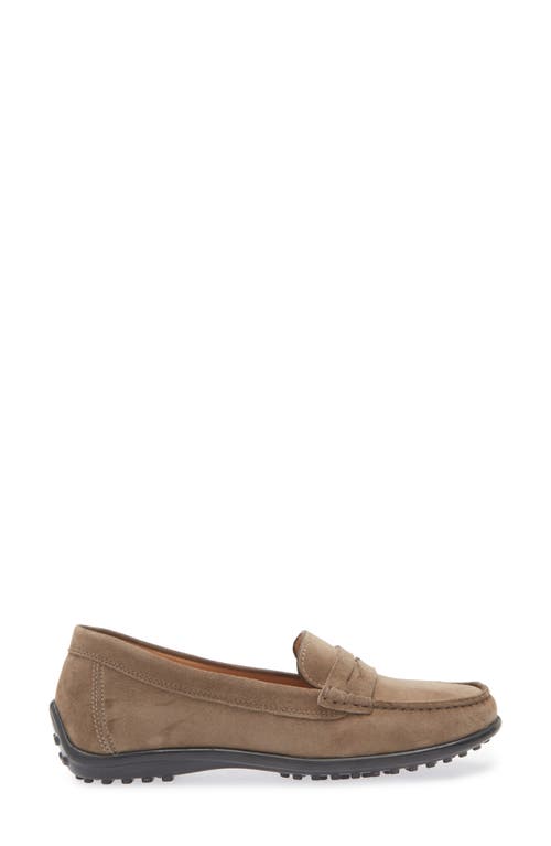 Shop The Flexx Winter Penny Loafer In Almond