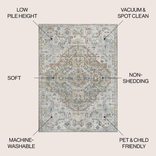 Jonathan Y Shaemus Bohemian Medallion Low-pile Machine-washable Area Rug In Cream/brown/green