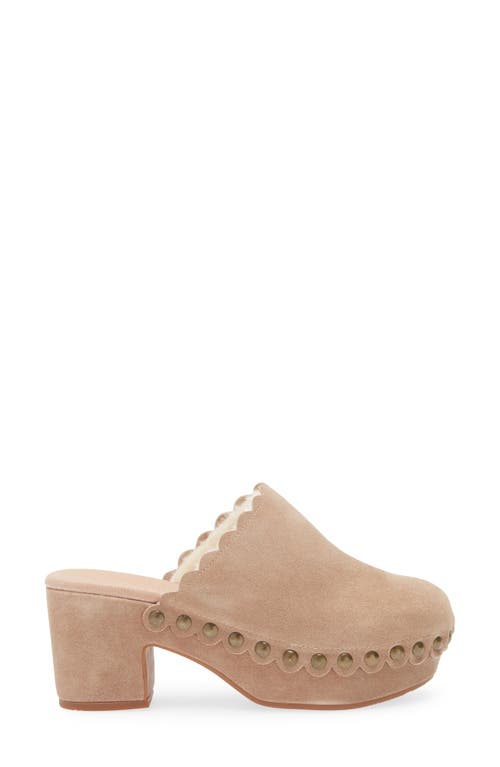 Shop Chocolat Blu Gareth Platform Mule In Latte Suede-shearling