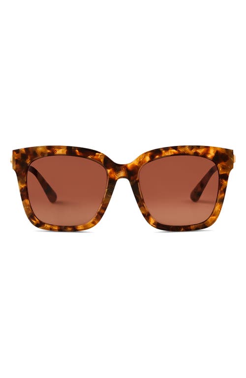 DIFF Bella 54mm Square Sunglasses in Toasted Coconut /Brown