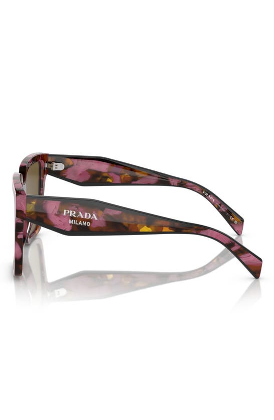 Shop Prada 56mm Square Sunglasses In Dark Brown