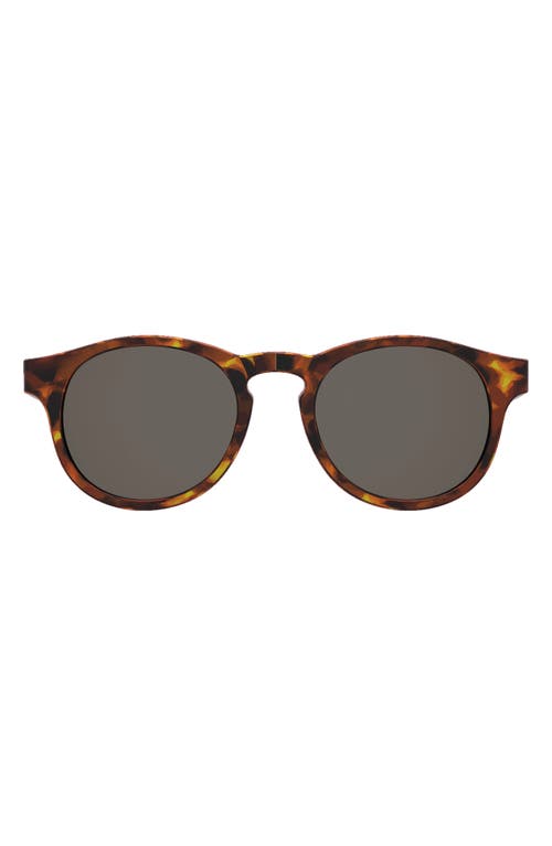 Babiators Round Sunglasses in Totally Tortoise at Nordstrom, Size 0-2 Y