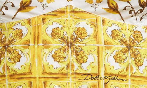 Dolce & Gabbana Maiolica Printed Cropped Cotton-blend Poplin Corset Top In Hg3tn Mix Maiolica Giallo