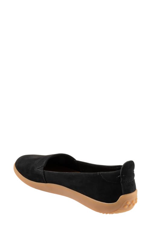 Softwalk ® Deva Flat In Black Nubuck