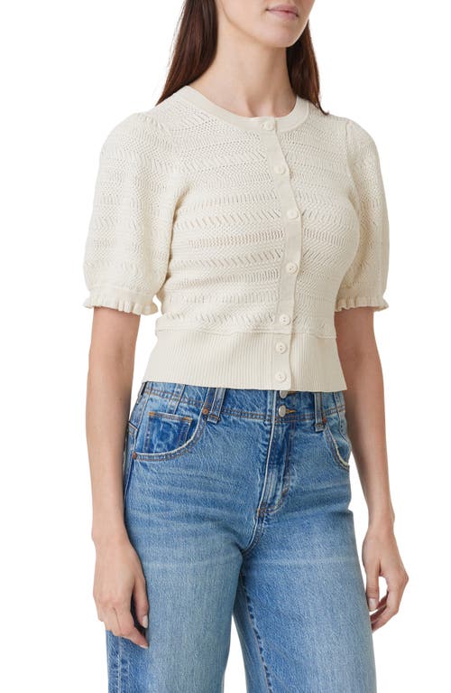 Shop Habitual Pointelle Stitch Cardigan In Birch