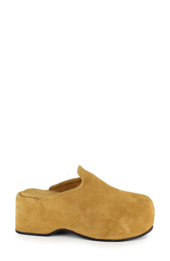 ZIGI ZIGI KRISTEN PLATFORM CLOG