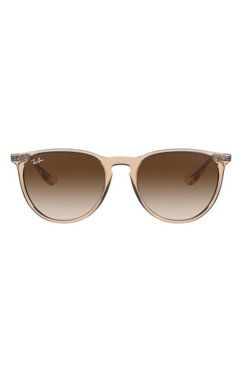 Shop Ray Ban Ray-ban Erika 54mm Gradient Round Sunglasses In Brown/brown Gradient