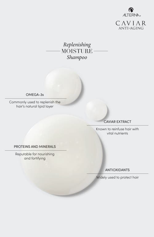 ALTERNA ALTERNA® CAVIAR ANTI-AGING REPLENISHING MOISTURE SHAMPOO & CONDITIONER BUNDLE 
