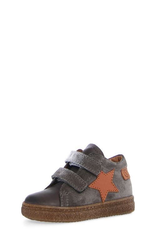 Naturino Albus Star Sneaker in Anthracite/Copper 