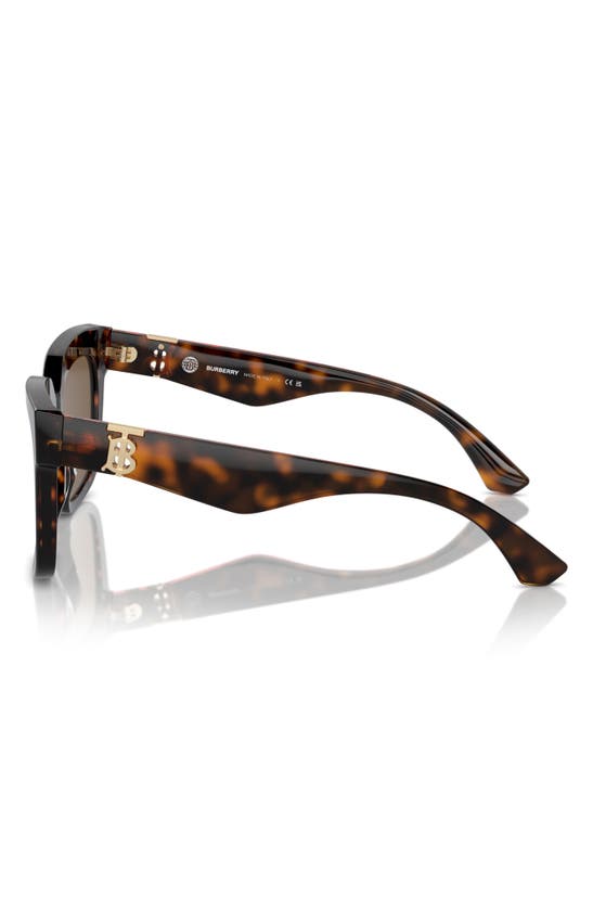 Shop Burberry 54mm Square Sunglasses In Dark Havana