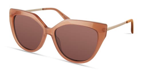 Derek Lam 10 Crosby Campbell Sunglasses In Mocha
