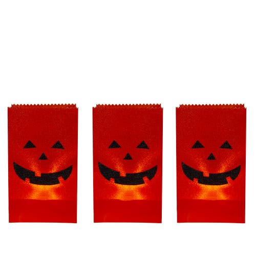 Northlight Set Of 3 Jack-o-lantern Halloween Luminary Pathway Markers In Orange