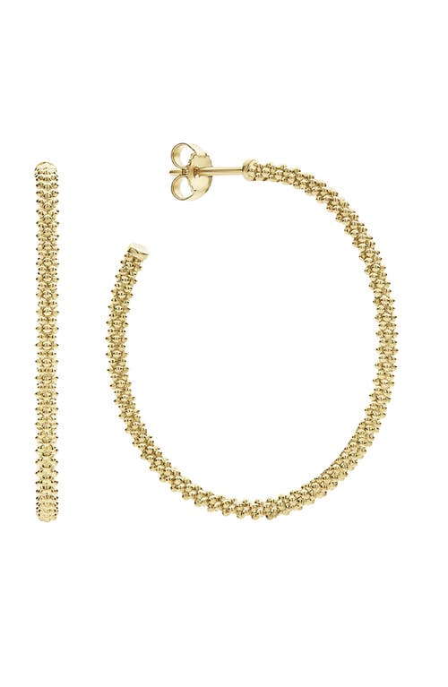 LAGOS Caviar Gold Hoop Earrings at Nordstrom