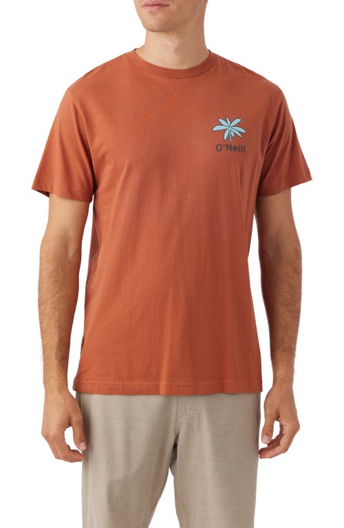 O'Neill Dreaming Graphic T-Shirt Clay at Nordstrom,