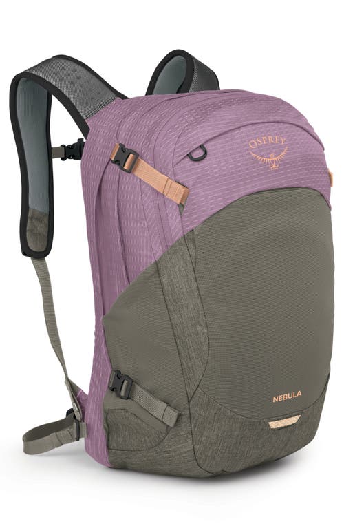 Osprey Nebula 32-liter Backpack In Pashmina/tan Concrete