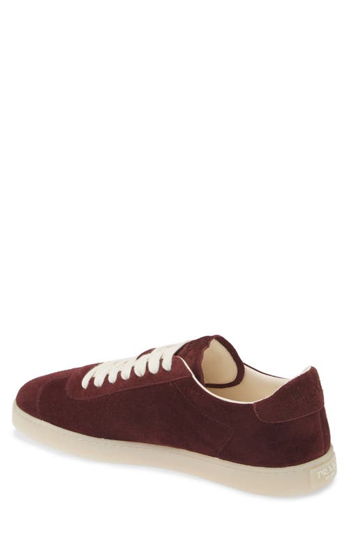 Shop Prada Lane Triangle Logo Sneaker In Bordeaux