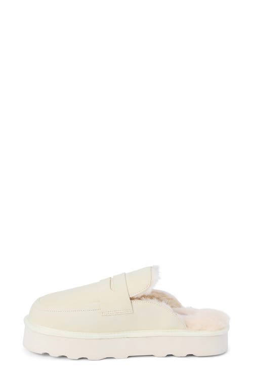 Shop Coconuts By Matisse Stowe Faux Fur Platform Loafer Mule In Ivory