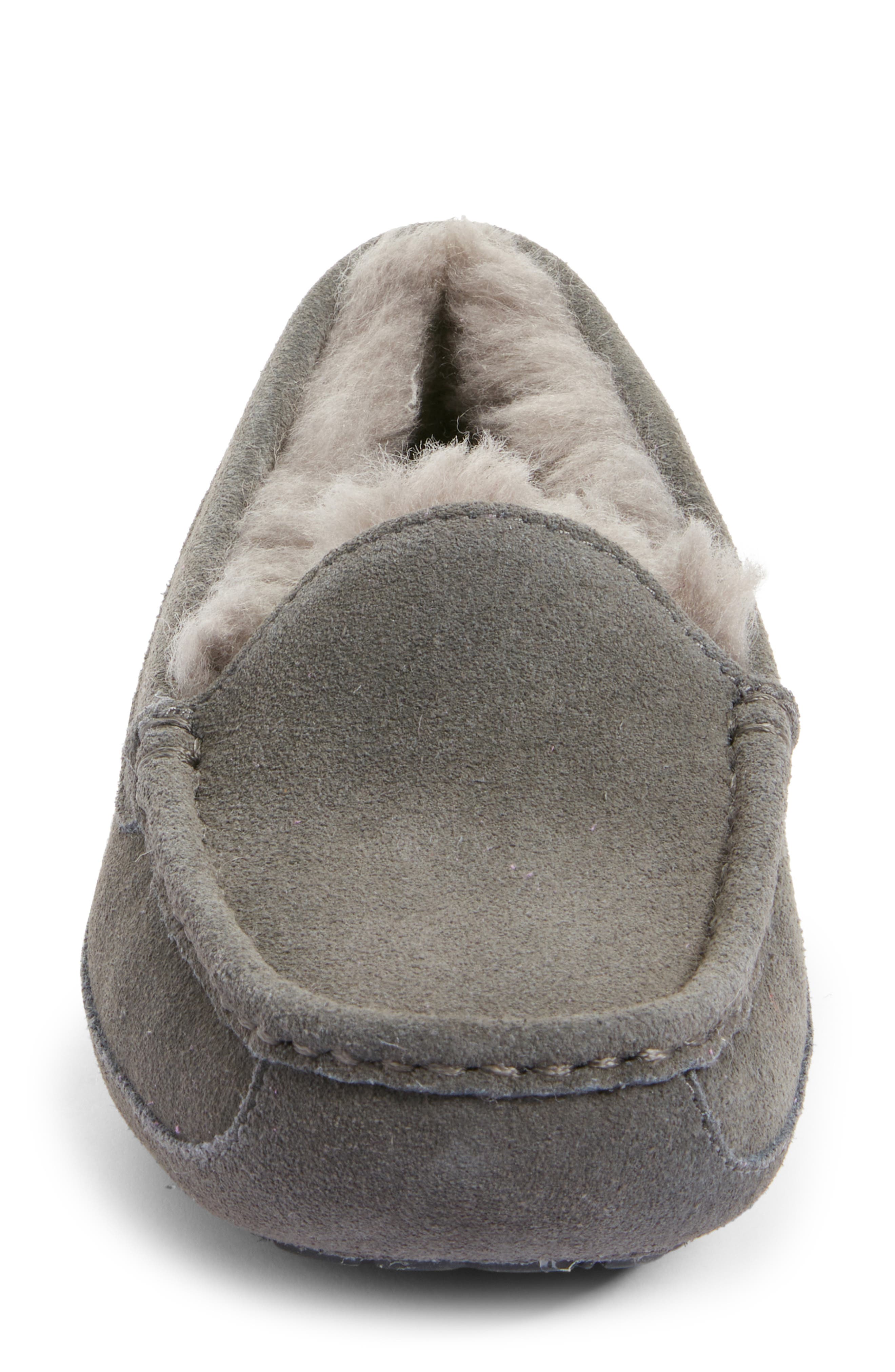 ugg ascot slipper nordstrom