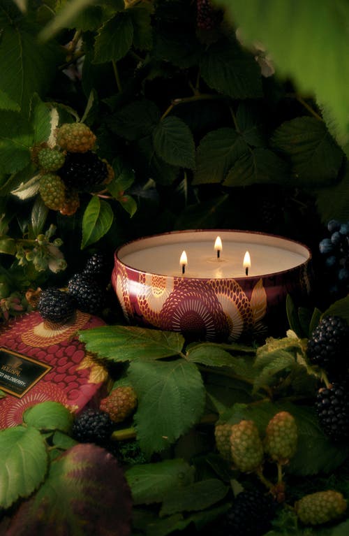 Voluspa Foraged Wildberry Three-wick Tin Candle In Foraged Wildberry
