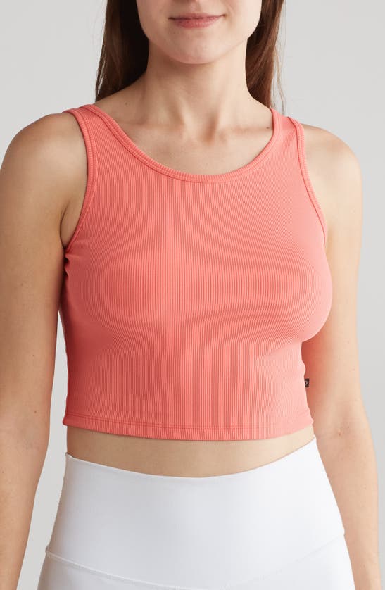 Shop Cycle House Resist Crop Tank Top In Dubarry