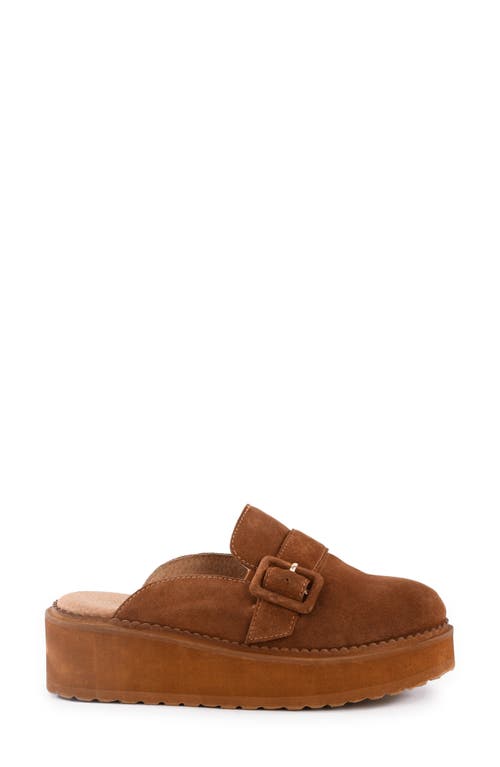 Shop Seychelles Come Together Platform Wedge Loafer Mule In Brown