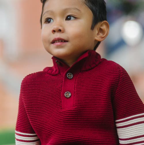 Hope & Henry Baby Boys' Organic Mock Neck Kanga Sweater, Infant In Dark Red With Sleeve Stripes