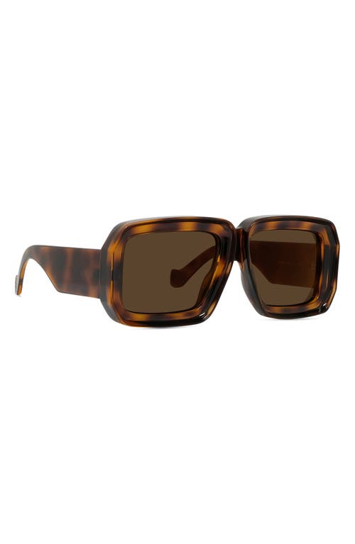 Shop Loewe X Paula's Ibiza 56mm Mask Sunglasses In Dark Havana/brown Mirror