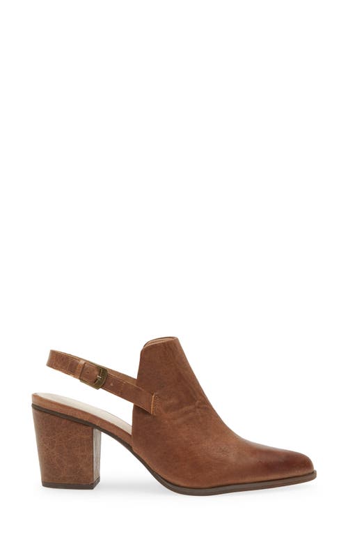 Chocolat Blu Eldorado Slingback Pointed Toe Mule In Brown Leather
