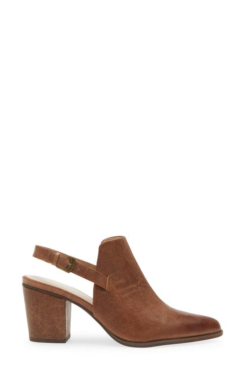 Shop Chocolat Blu Eldorado Slingback Pointed Toe Mule In Brown Leather