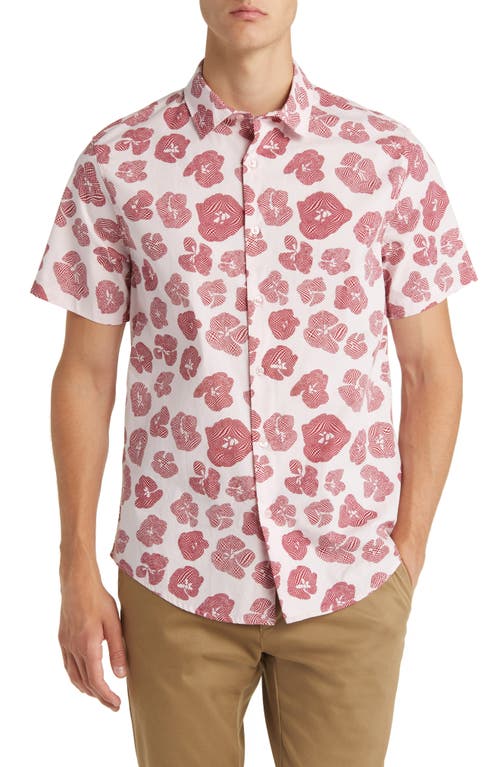 Open Edit Geometric Poppy Print Stretch Poplin Camp Shirt in Pink- Burgundy Poppy Geo at Nordstrom, Size Large
