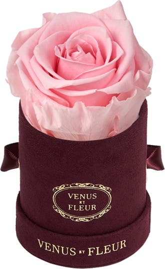 Venus et Fleur Classic Le Petit Eternity Roses Gold