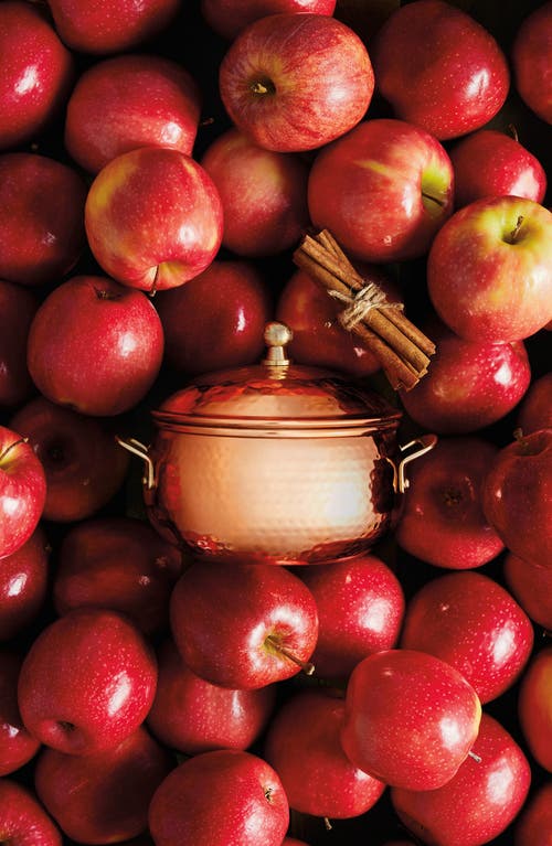 Thymes Simmered Cider Copper Pot Three-wick Candle In Copper