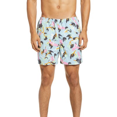 Patagonia Baggies 5-Inch Swim Trunks, Blue