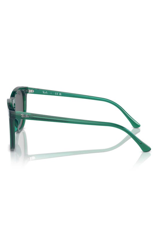 Ray Ban 53mm Polarized Square Sunglasses In Transparent Green