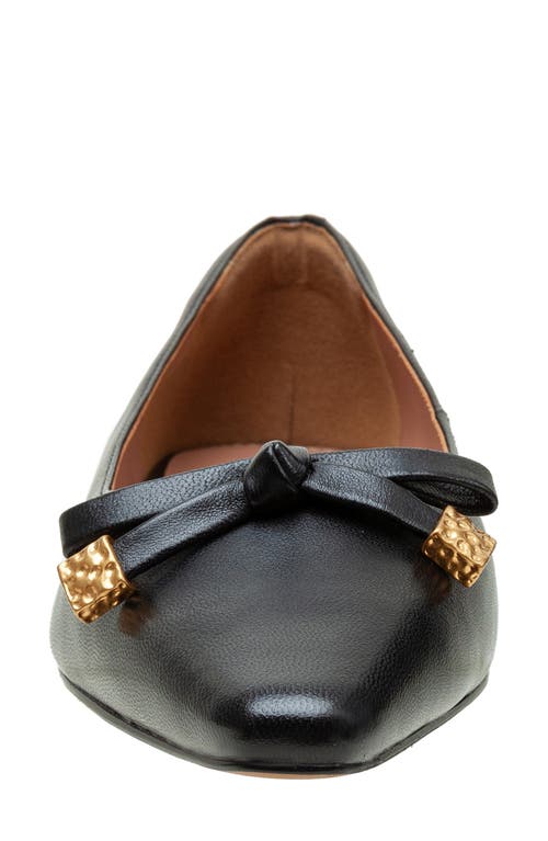 LINEA PAOLO LINEA PAOLO NICOLIS POINTED TOE FLAT