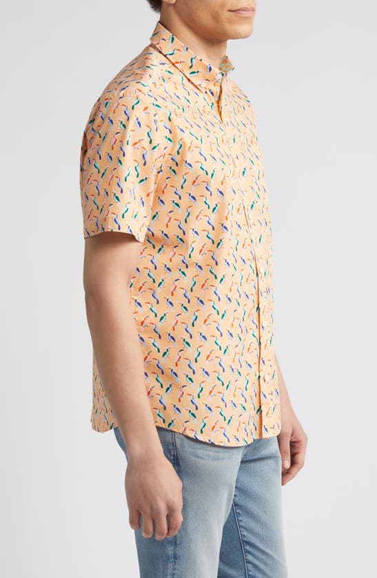 Johnston & Murphy Toucan Print Short Sleeve Cotton Button-down Shirt In Melon